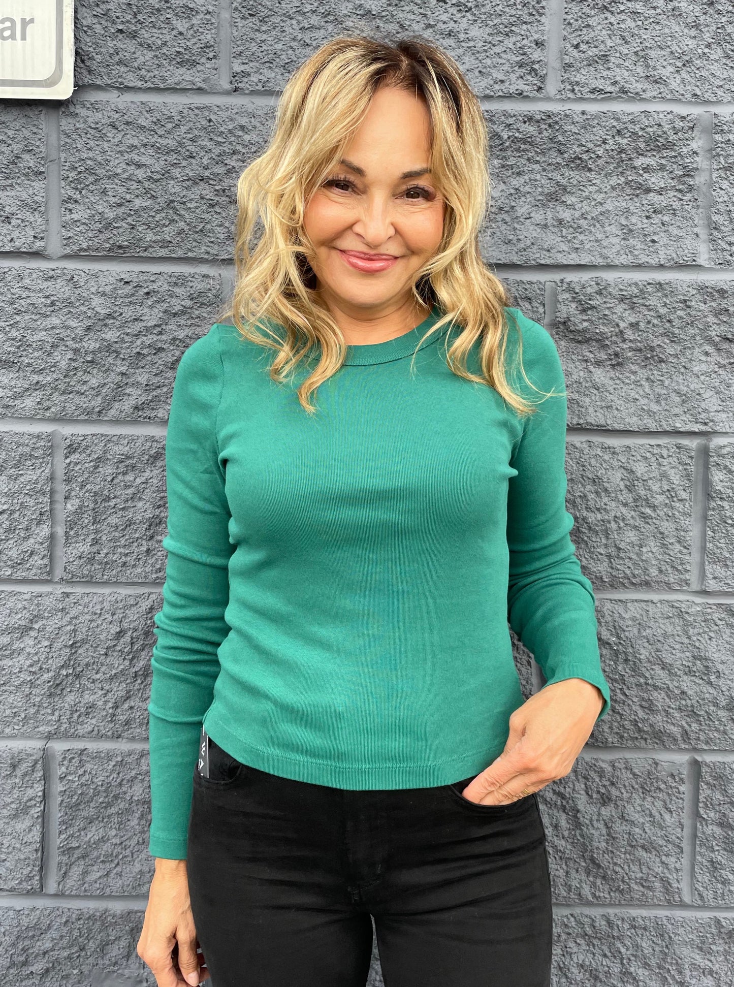 Michael Stars Orion Crop Top