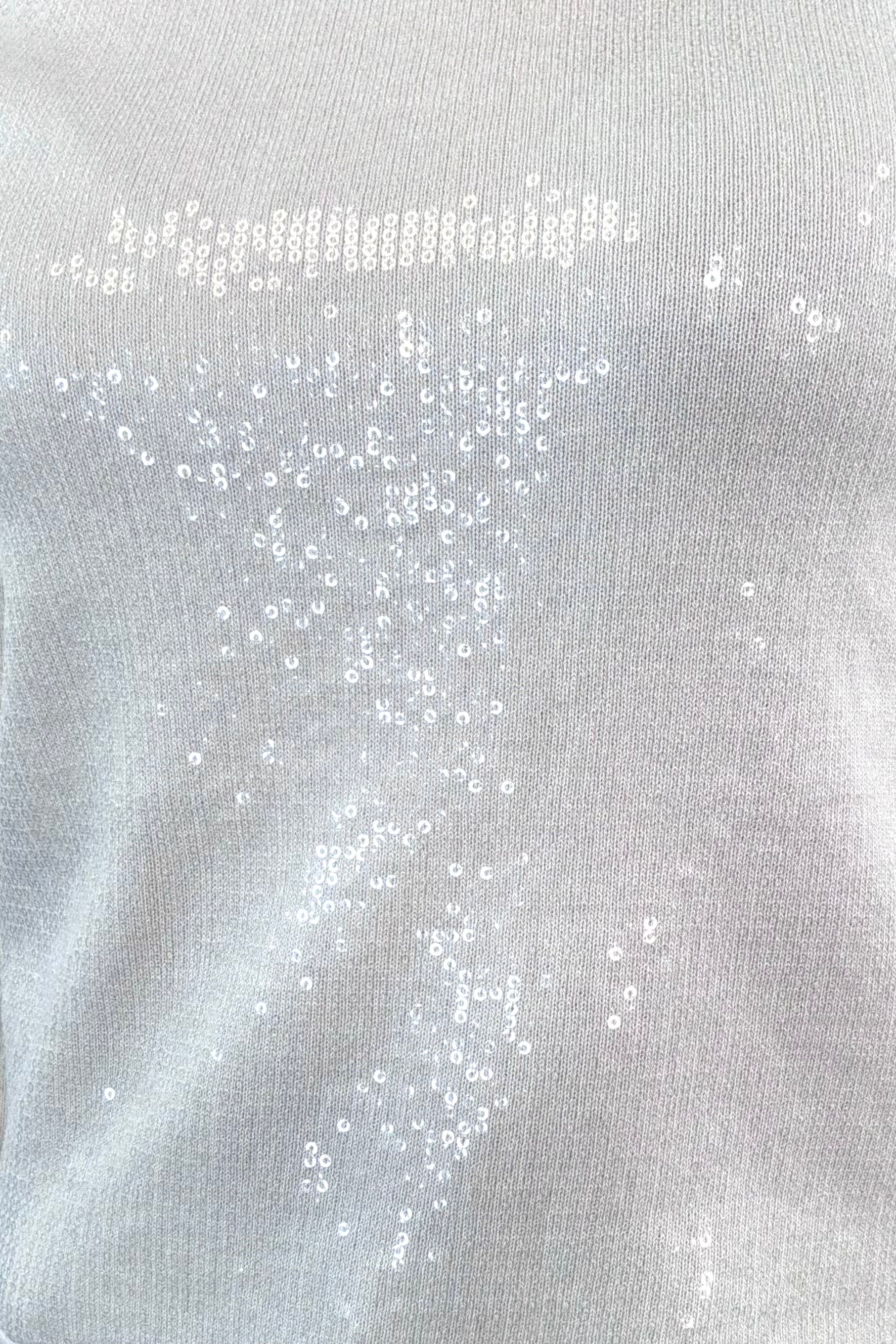 close-up of a silver sequin top