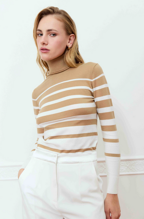 Deluc Silene Striped Turtleneck Sweater