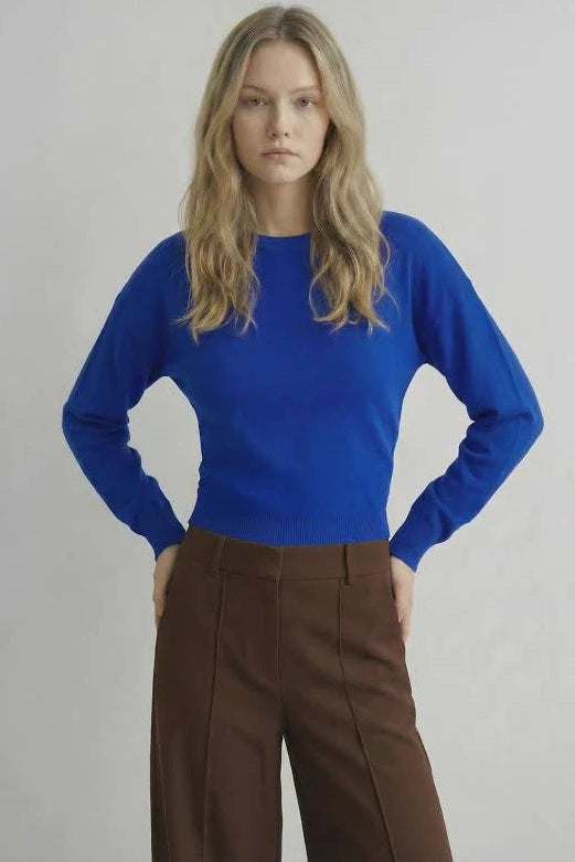 A woman modeling a bright royal blue long-sleeve knit top with brown trousers, standing against a light gray studio background.